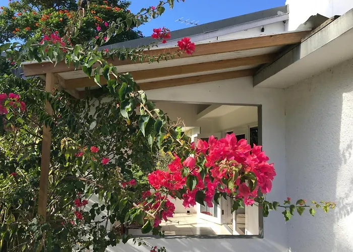 Apartment Ginger Mango Garden Cottage - Beach-5Min Drive, 1 Hr Montego Bay, 25 Mins Ocho Rios *