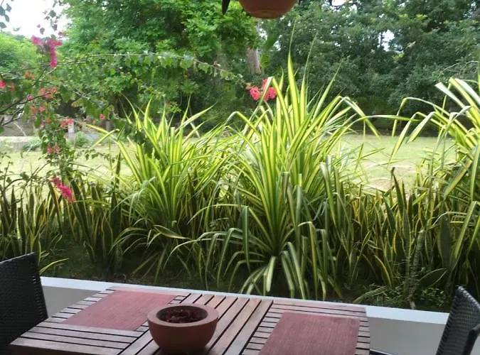 Apartment Ginger Mango Garden Cottage - Beach-5Min Drive, 1 Hr Montego Bay, 25 Mins Ocho Rios *
