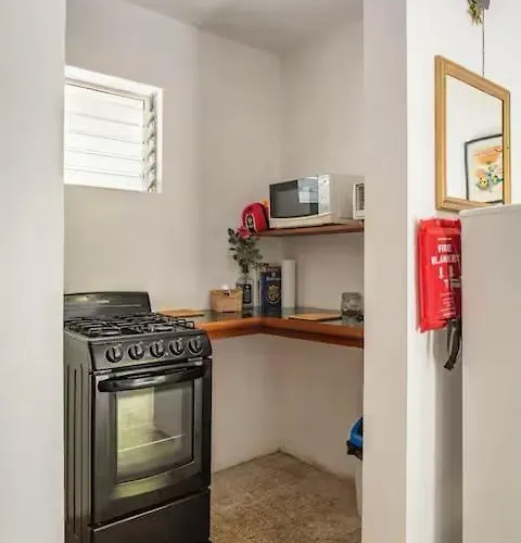 Ginger Mango Garden Cottage - Beach-5Min Drive, 1 Hr Montego Bay, 25 Mins Ocho Rios Apartment *